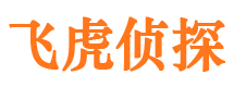 松阳市私家侦探